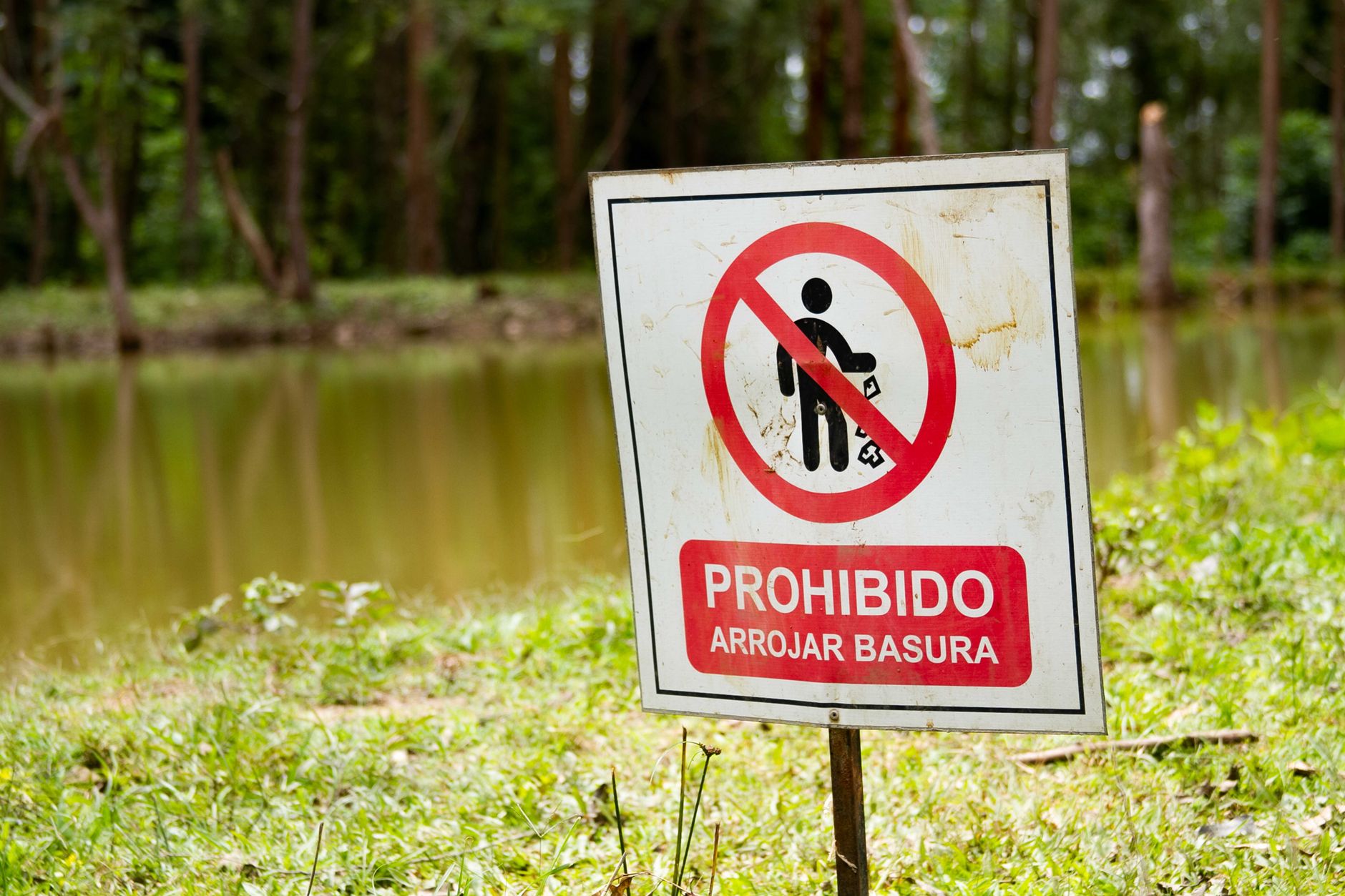 Código de colores de las bolsas de basura según el tipo de residuo