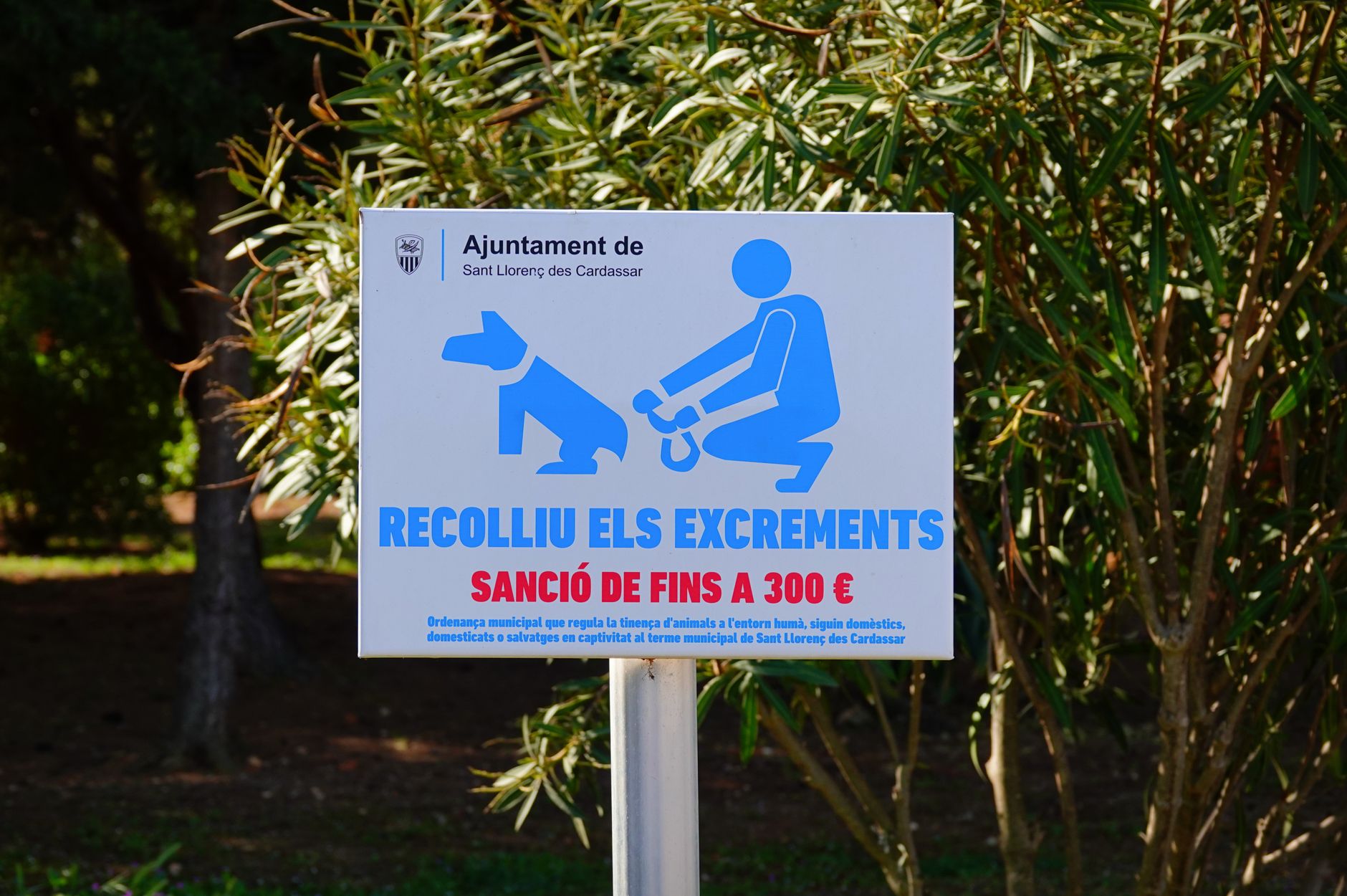 Normativa municipal sobre recogida de excrementos caninos en España